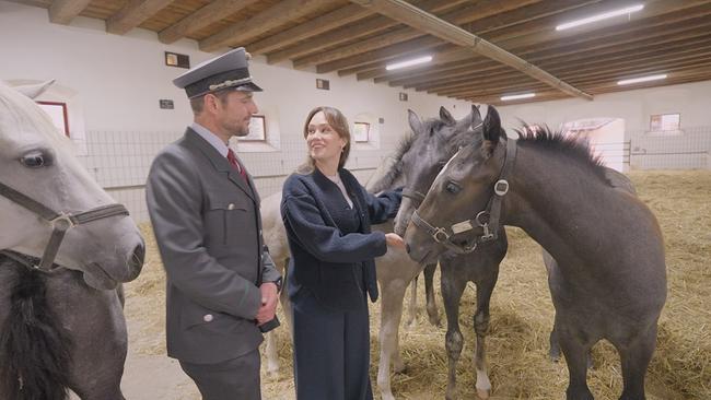 © ORF/TVFriends Sasa Schwarzjirg und Franz Krughaft auf der Stubalpe mit jungen Lipizzanern
