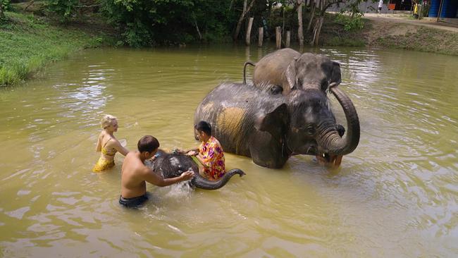 © Silvia Schneider GmbH Elephant Wildlife Sanctuary Phuket.