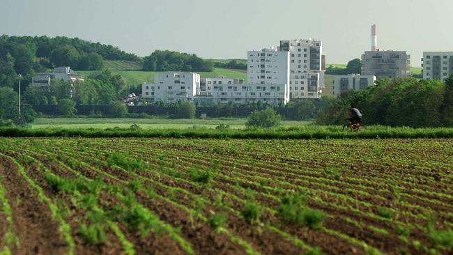 Landwirtschaftliches Feld im Vordergrund mit Reihen junger Pflanzen und Wohngebäude am Laaer Berg im Hintergrund
