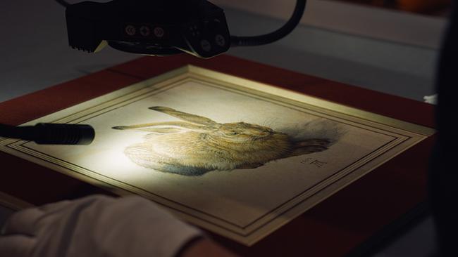 Albertina - Eine Sammlung schreibt Geschichte/ Der originale Feldhase von Dürer unter dem Mikroskop