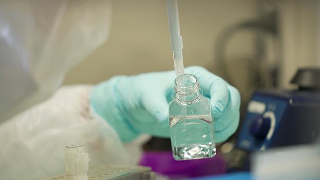 © ORF Eine Person im Labor pipettiert mit Handschuhen eine klare Flüssigkeit in ein kleines Glasfläschchen zur DNA-Analyse.