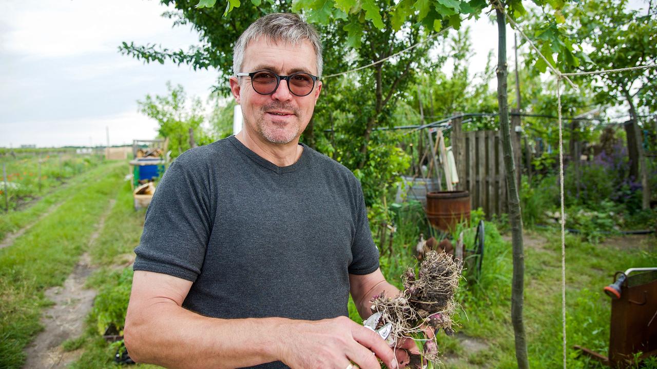 Biobauer Michael Andert zieht Weingartenknoblauch im Seewinkel