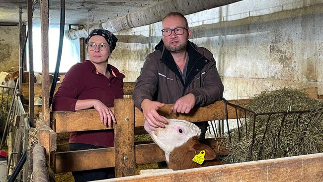 © ORF/Satel Film/David Haslinger Hans Gabauer und Michaela Hierschläger stehen in einem Stall an einem Holzgatter und streicheln ein Kalb