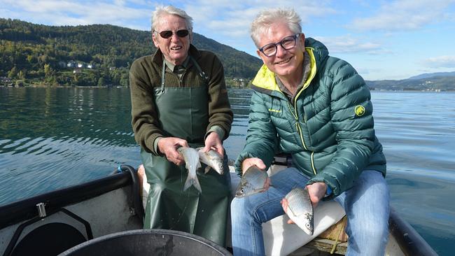 Stephan Vadnjal und Josef Huainigg sitzen in einem Boot auf dem Wörthersee und halten gefangene Reinanken in den Händen.