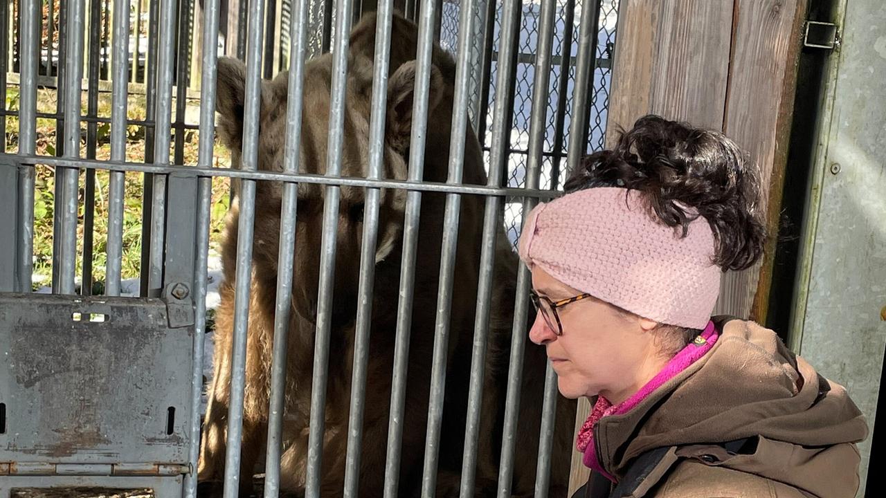 Tierpflegerin Manuela Pfeiffer füttert den 35jährigen Bären Tom mit Honigbrot