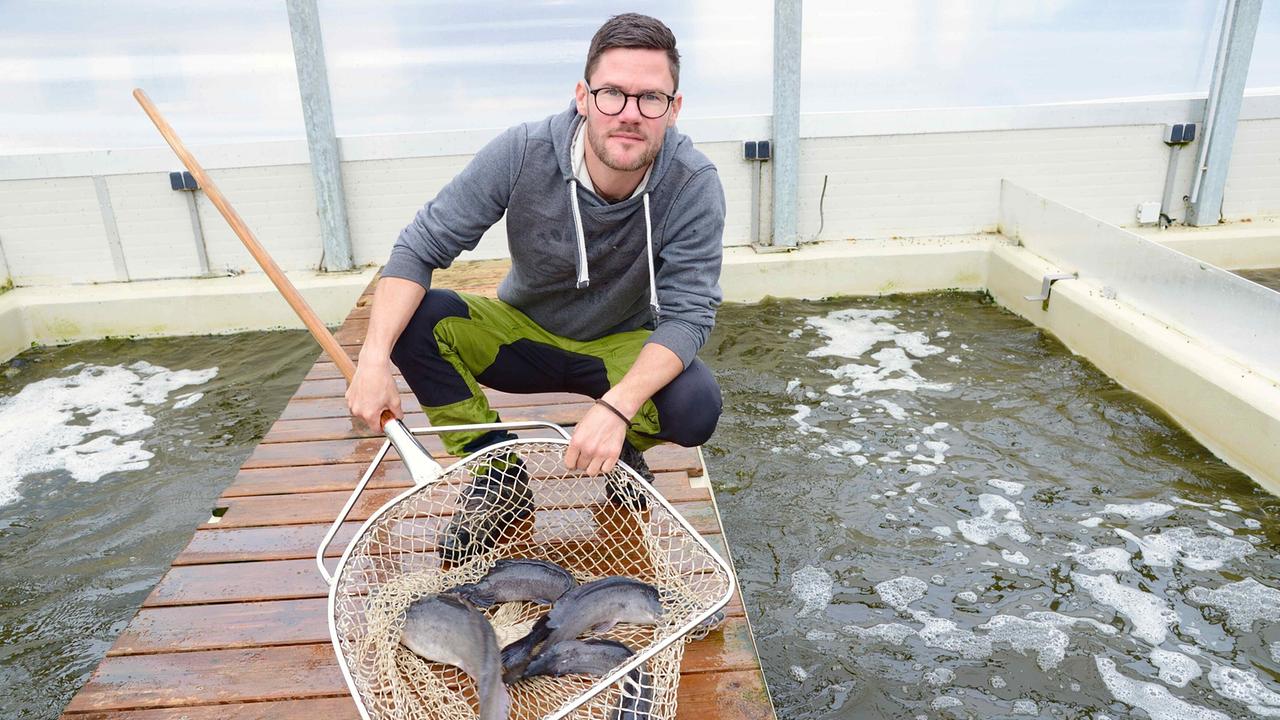 Martin Temmel, Welszucht und Gemüse aus der Aquaponik-Anlage in Timmersdorf