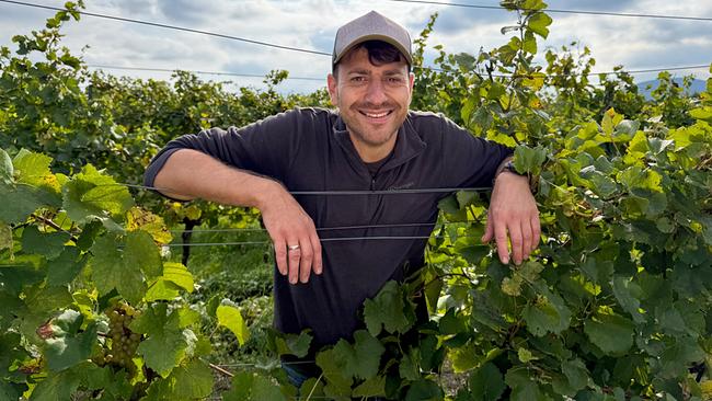 Weinbauer Mathias Ramberger lehnt entspannt zwischen seinen Weinreben 