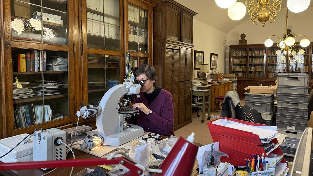 Lidia Pittarello sitzt an einem Mikroskop in einem Raum mit Holzregalen und vielen Büchern