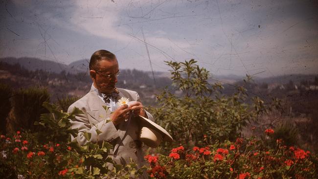 © ORF/Florianfilm/Thomas-Mann-Archiv Bekenntnisse des Hochstaplers Thomas Mann