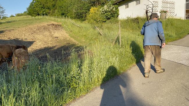 Besuch im Bubenland