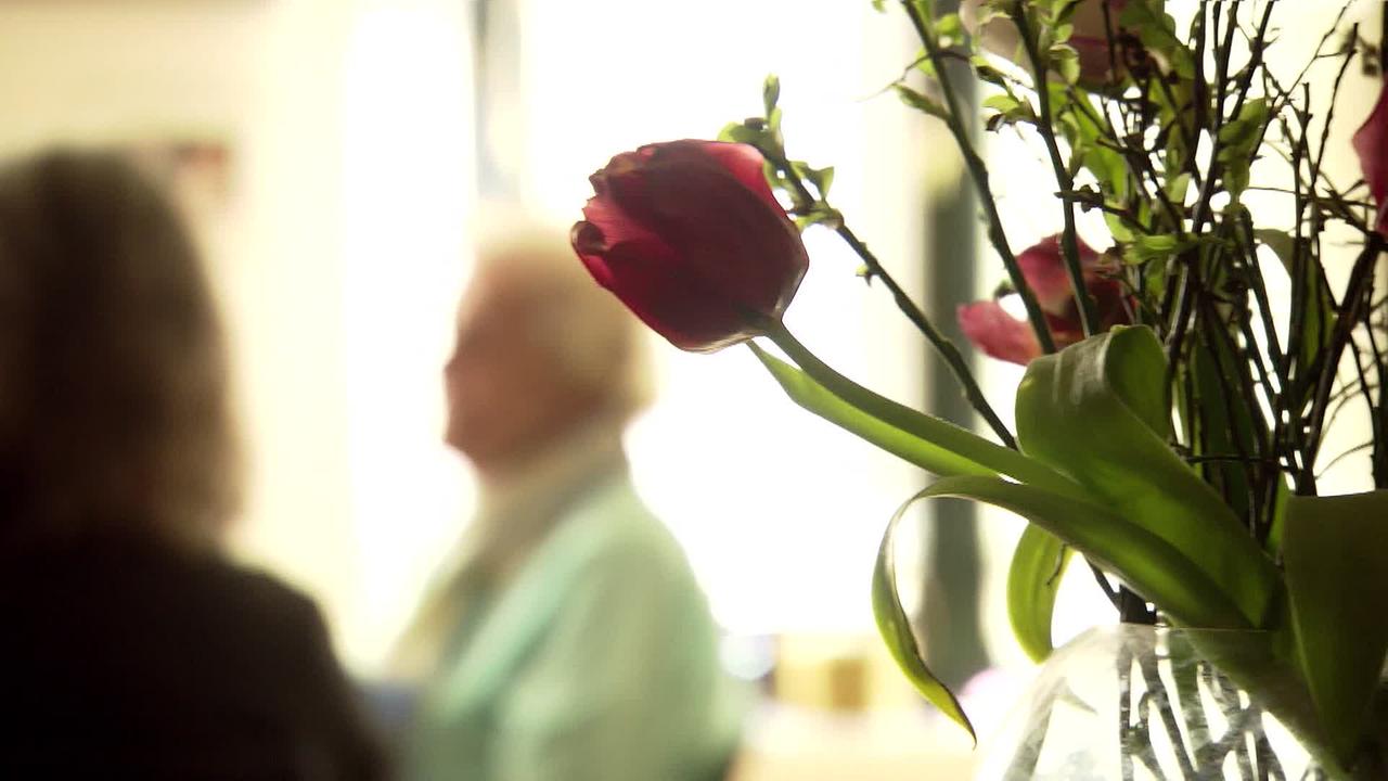 Im Vordergrund sind Blumen zu sehen im Hintergrund zwei ältere Damen.