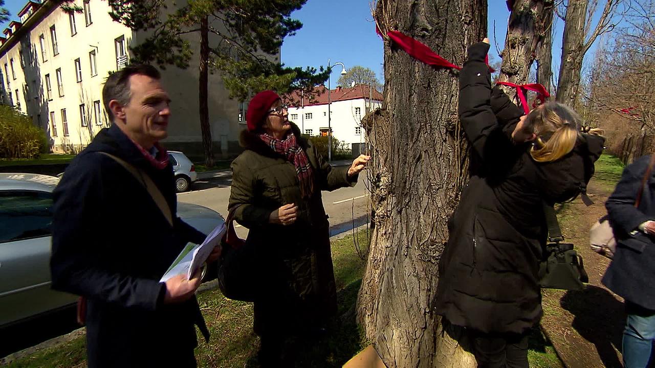 Mitglieder einer Bürgerinitiative binden rote Bänder um Bäume, die im Zuge des Ausbaus der Verbindungsbahn in Hietzing gefällt werden sollen.