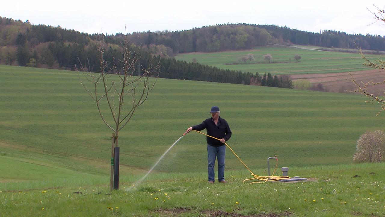 Herr S. steht auf einer Wiese und gießt mit dem Schlauch mit  Brunnenwasser einen Baum.