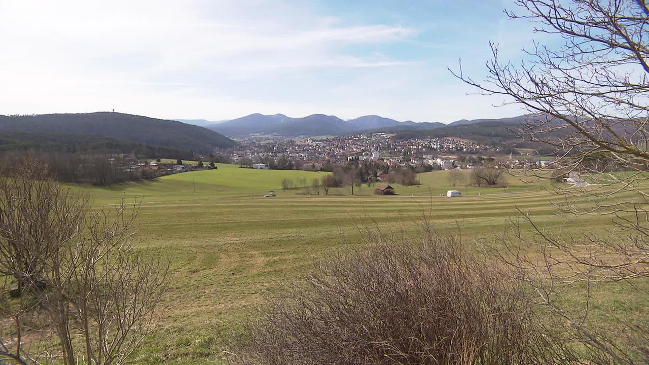 Am Bild sind bewaldete Hügel und weitläufige grüne Wiesen zu sehen. Im Hintergrund ist die Ortschaft Berndorf. Der Grüngürtel ist das Erholungsgebiet der Gemeinde, dieser soll bebaut werden.