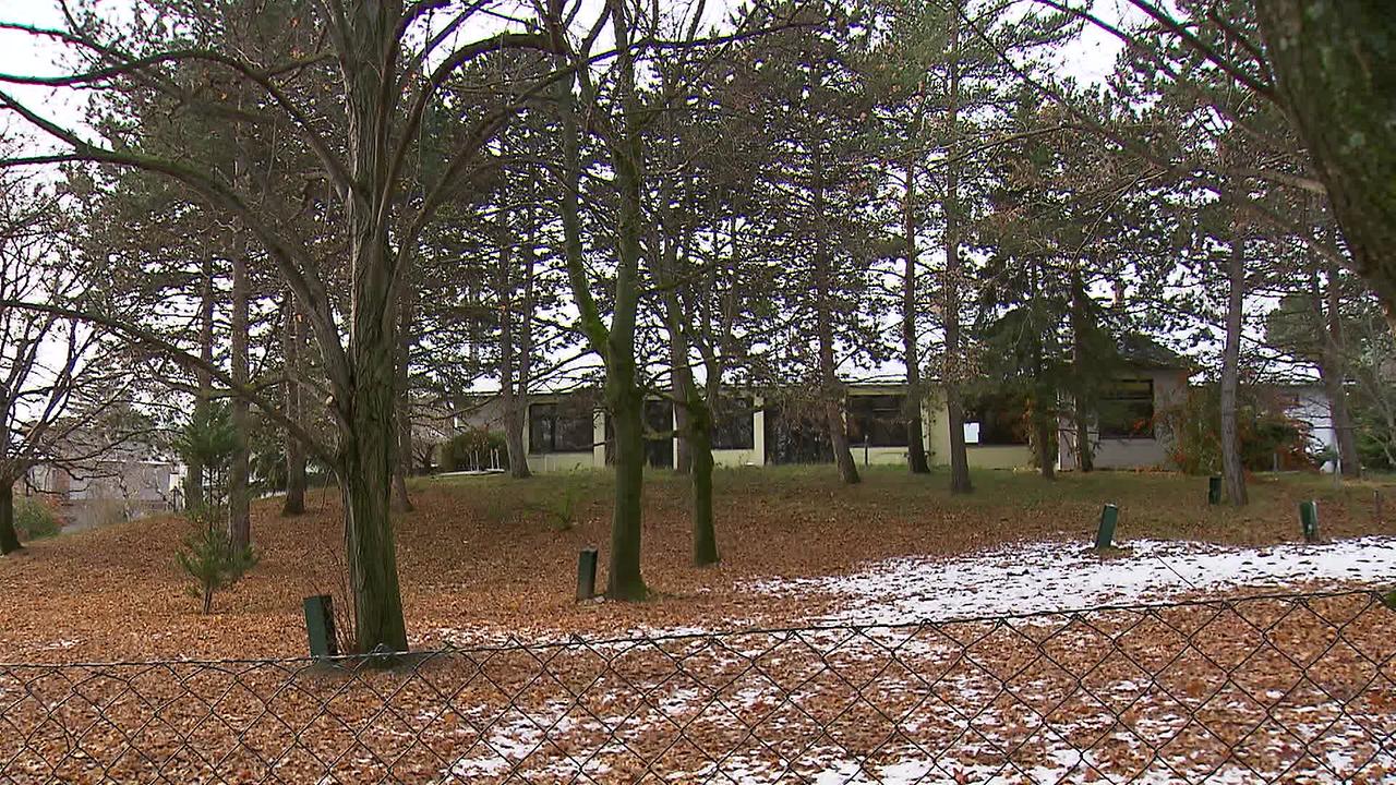 © ORF Am Bild ist ein Laubwald zu sehen und im Hintergrund steht ein ehemaliges Gasthaus. Es ist ein ebenerdiges Haus.