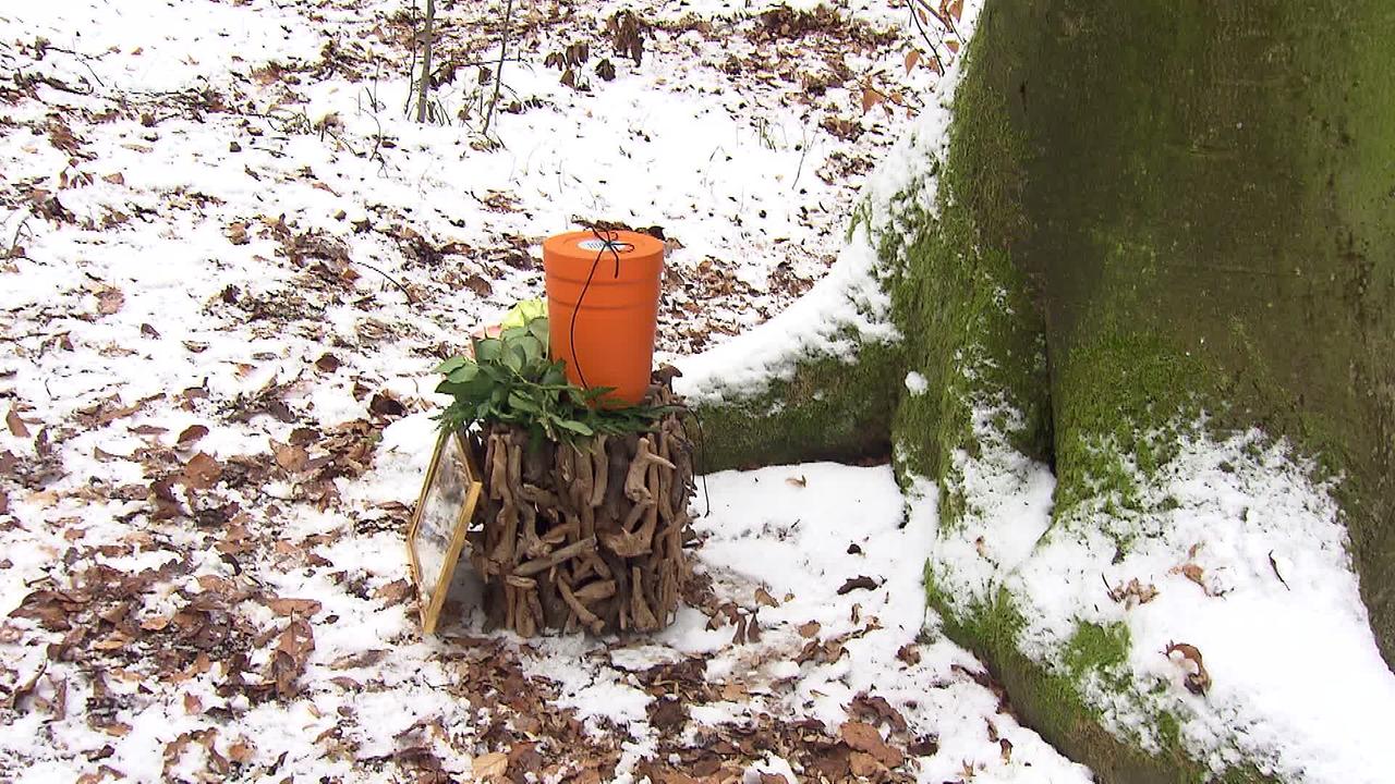 Am Bild ist eine Urne, die mit einem Foto davor und Blumen daneben, auf einem schneebedeckten Waldboden steht. Gleich neben einem Baum.