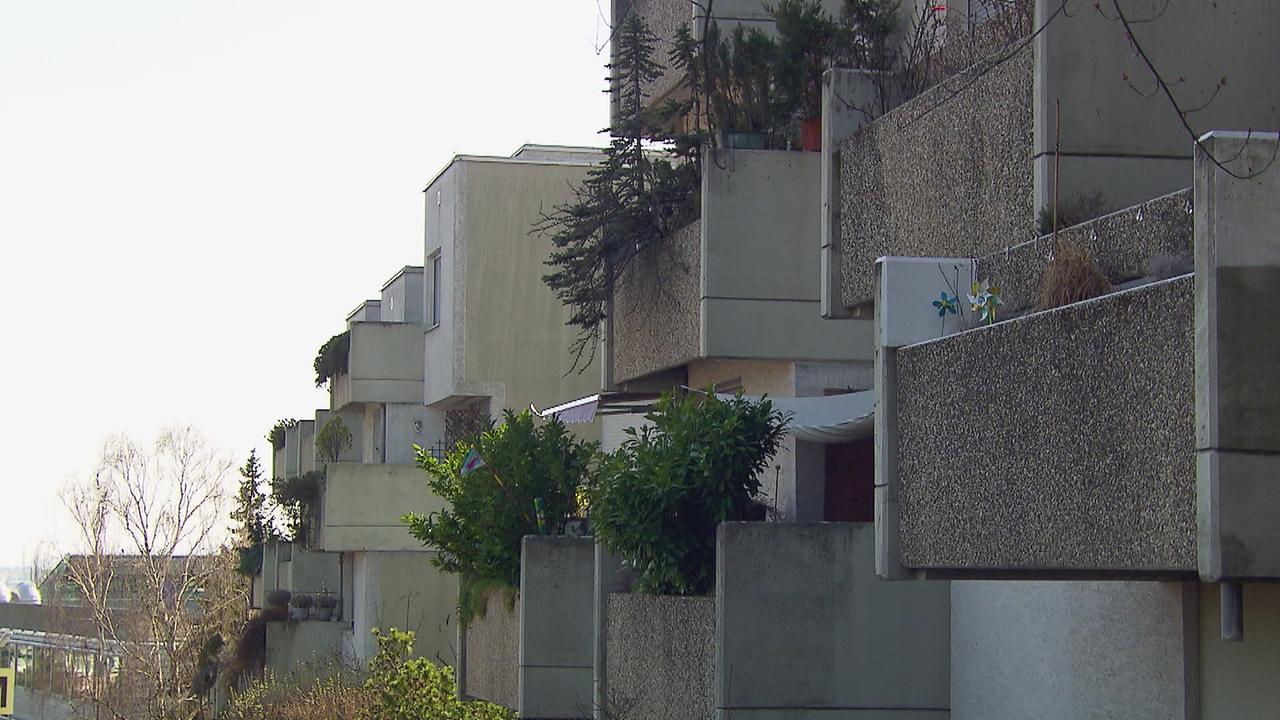Am Bild ist die Häuserfront der Baumgartner Buwog Siedlung in Wien zu sehen. Es sind viele Balkone am Bild, teilweise mit großen Pflanzen.