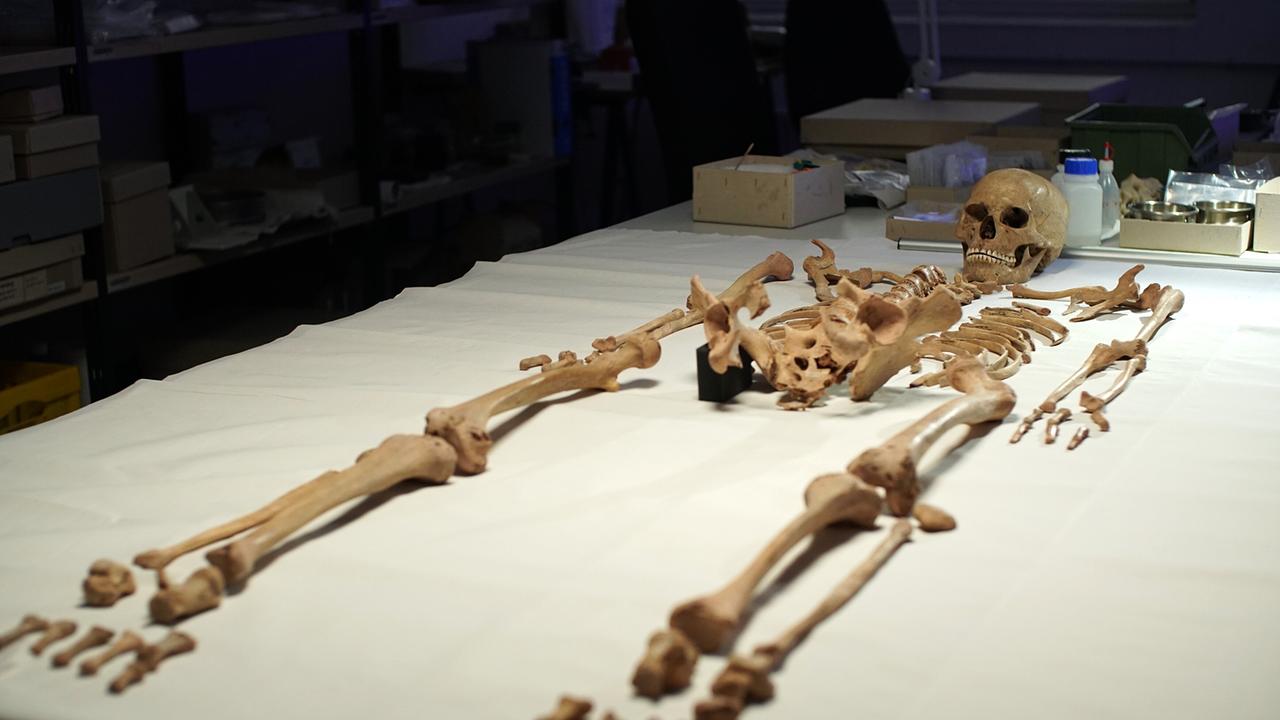 Cold Case Steinzeit - Das Rätsel der Schamanin