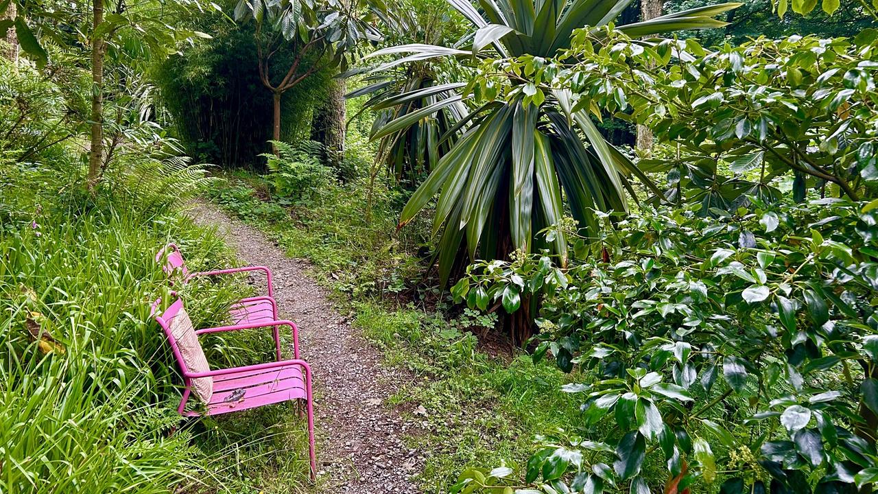 Zwei rosa Sessel beim Gartenweg mit üppiger grüner Vegetation