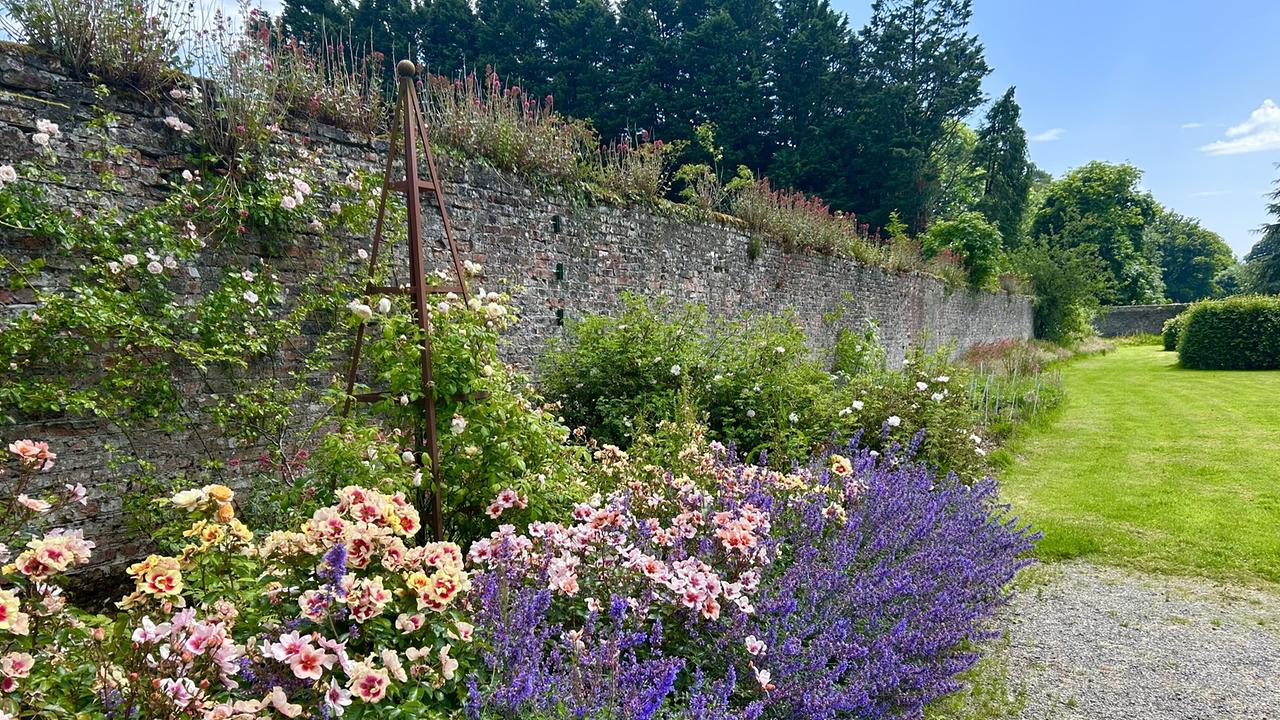 Gartenmauer mit bunten Blumen in Richtung grüner Wiese