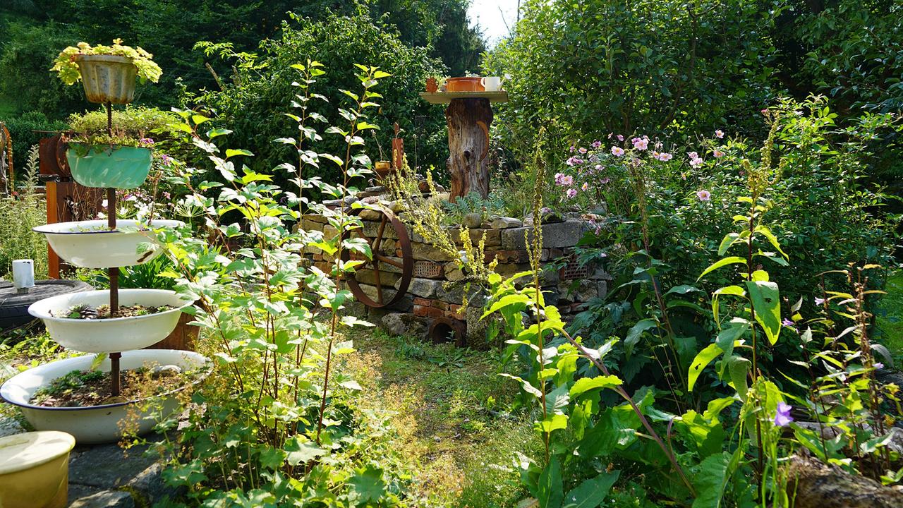Aus alt mach neu! Im „Upcycling“-Garten von Tina und Martin Perina in Traisen in Niederösterreich wird Nachhaltigkeit großgeschrieben. Eine große Leidenschaft des Ehepaars ist das Wiederverwerten von alten Dingen. Ausrangierte Leitern, Badewannen, Öfen, kaputte Tontöpfe, Mauer- und Dachziegel werden liebevoll in den Garten integriert und machen dem Gartennamen alle Ehre. Neben einem wunderbaren Naturteich, der sich selbst reguliert, peppelt Tina Perina gerade Igel auf und entlässt sie dann wieder in die Natur