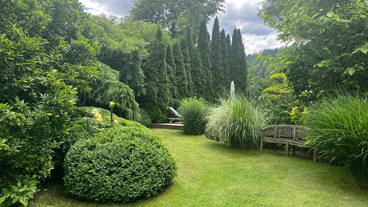 Ein little Britain in Judenburg in der Steiermark – das ist das grüne Paradies von Peter Gall. Der Hobbygärtner hat sich einen von der englischen Gartenkunst inspirierten Garten mitten in Judenburg geschaffen: von der Pflanzenauswahl, über die exakt geschaffenen Gartenräumen bis hin zur Architektur seines Hauses. Obendrein erfreut er sich durch seine geschickte botanische Auswahl ganzjährig an einer wundervollen Blütenpracht