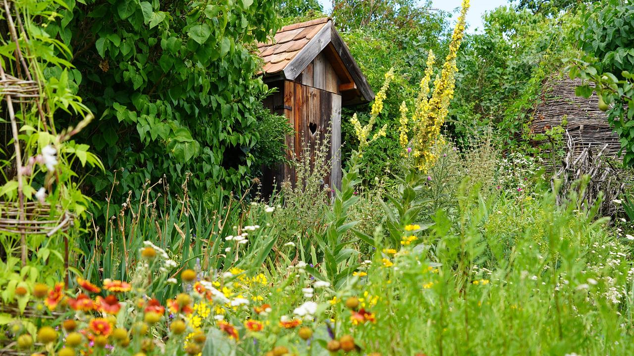 Ein Naturgarten, in dem viele Pflanzen getauscht werden. Das ist das vielfältige, grüne Paradies von Susi Mitas am östlichen Ortsrand von Schöngrabern gelegen. Ihr Motto lautet: Die Natur ist die beste Gärtnerin – darum lässt sie wachsen, was wächst, und gartelt ökologisch. Highlight des Gartens ist ein großes, selbst geflochtenes Weidenhaus