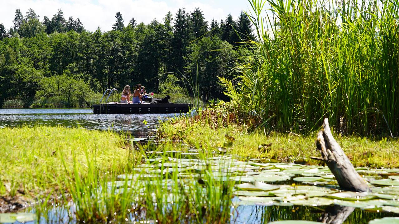 Für Abkühlung während der heißen Sommertage ist im Garten von Kristin Seifert und Gerd Oblak gesorgt, denn ein See lädt zu einem Sprung ins kühle Nass ein. Inspiriert von den Gärten der Römer, Griechen und Perser wachsen in diesem grünen Paradies Feigen sowie Kiwis und viele gemütliche Sitzplätze laden zum Verweilen ein