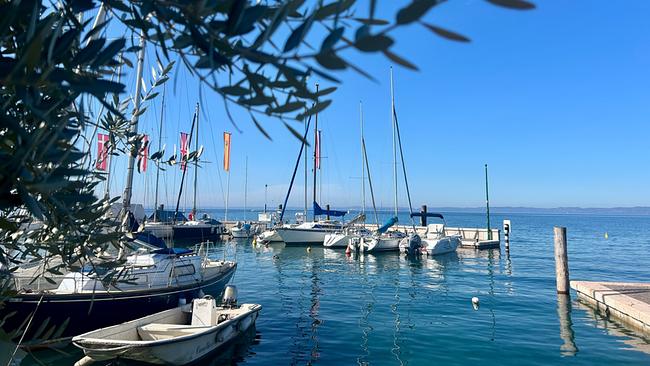 Blick auf den Gardasee mit einem sonnigen Hafen mit Segelbooten auf ruhigem, blauem Wasser, eingerahmt von Olivenzweigen vor klarem Himmel.