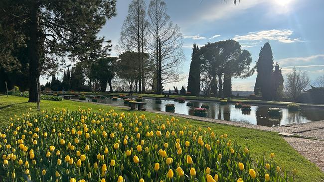 Blick auf den Parco Giardino Sigurtà mit einem Wasserbecken, blühenden gelben Tulpen im Vordergrund und hohen Bäumen vor hellem Frühlingshimmel.