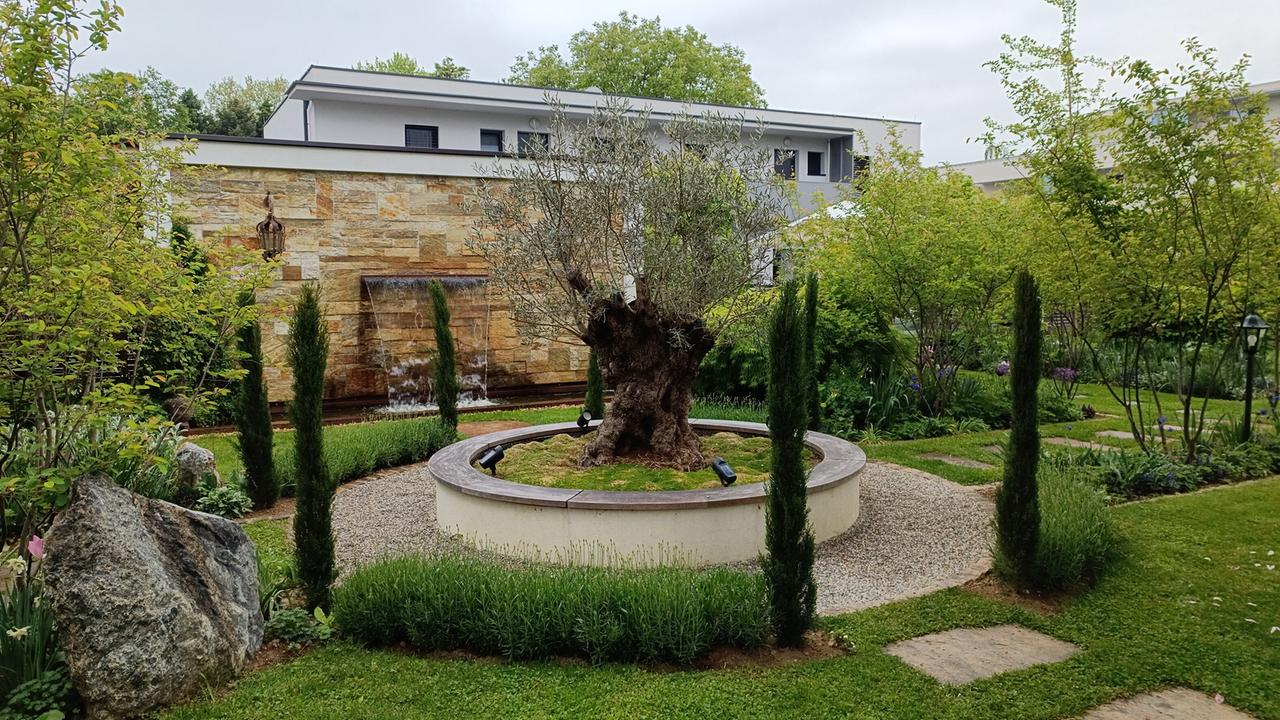 © Leopold Mayrhofer/Natur im Garten Ein historisches Brunnenbecken mit altem Baumstamm inmitten moderner Gartenanlage mit Zypressen, Steinmauer im Hintergrund.