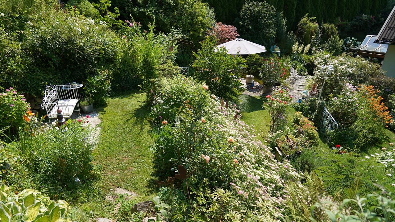 © Leopold Mayrhofer/Natur im Garten Terrassengarten mit üppigen Sträuchern, Blumenbeeten, Rasenflächen, Sitzbank und Sonnenschirm.