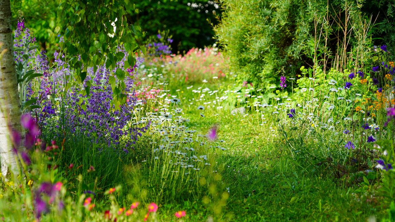 © Leopold Mayrhofer/Natur im Garten Ein Gartenweg umgeben von vielfältigen blühenden Stauden und Gräsern.