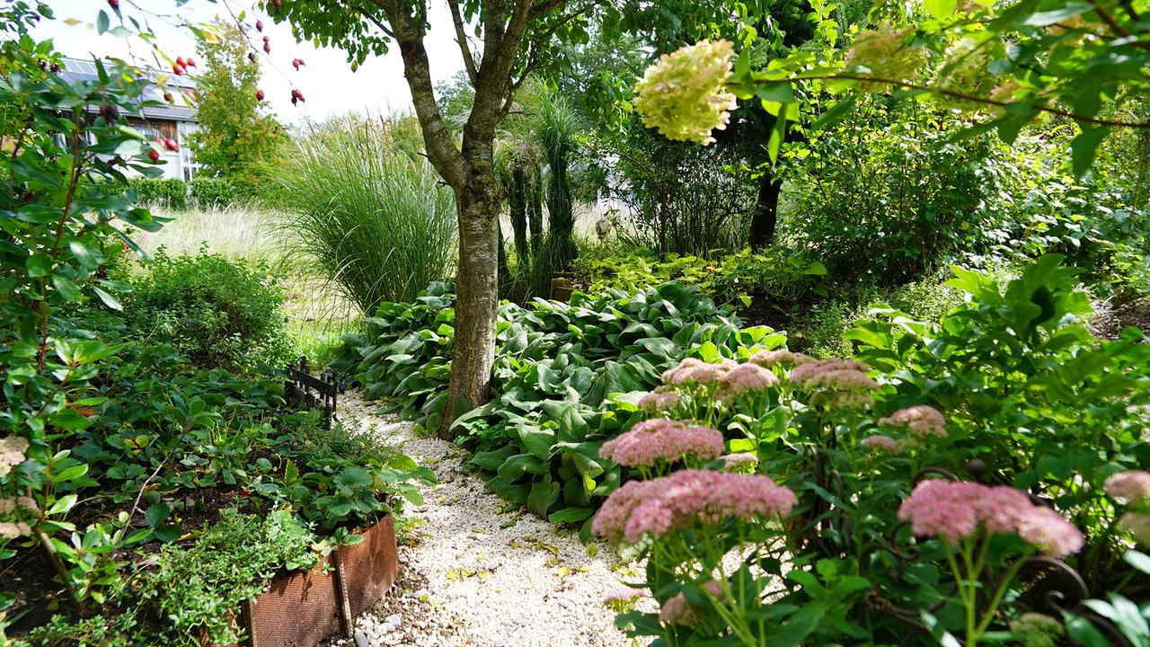 © Leopold Mayrhofer/Natur im Garten/Leopold Mayrhofer, A.Wildgansstr. 3382 LOOSD. Ein Weg führt durch einen asiatisch inspirierten Garten, umgeben von üppigen Pflanzen und Blumen.