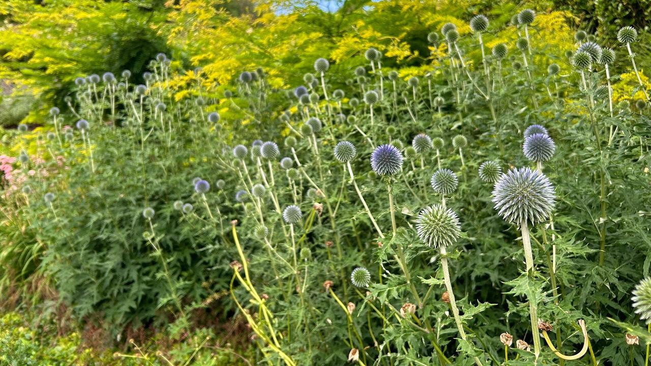 Garten in Jardin de Wiltz