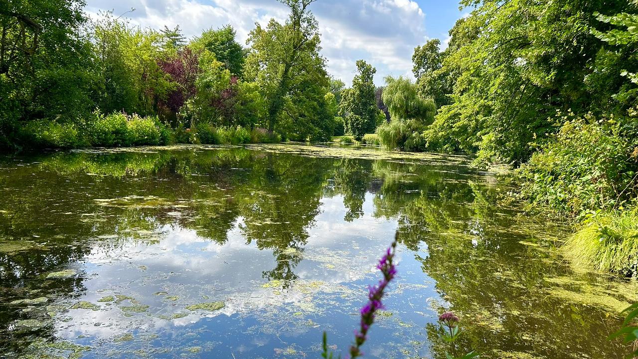 Die königlichen Gärten auf Schloss Berg