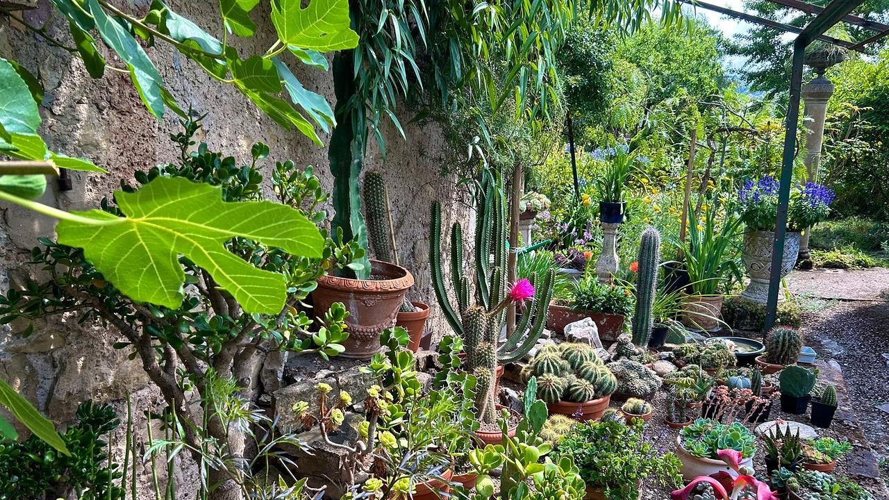 Mediterraner Garten in Schwebsingen