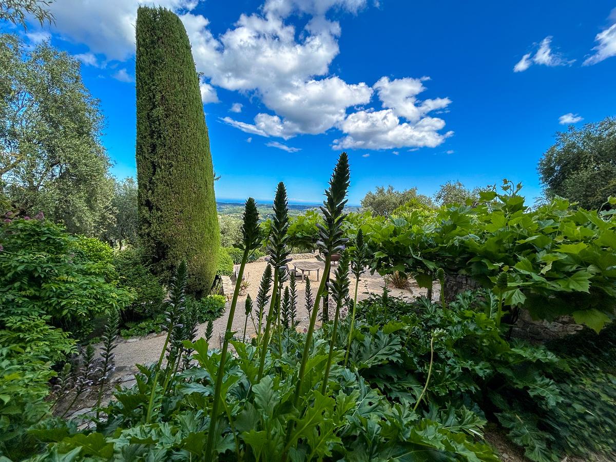 © ORF/Ralph Huber-Blechinger Das Paradies in der Ferne: Das Landgut La Mouissone erstreckt sich über drei Hektar an den Hängen unterhalb des Bois de la Marbrière östlich von Grasse. Neben Olivenbäumen bietet der Garten viele weitere interessante Bereiche – eine Sukkulenten-Zone, einen Bambusgarten, halb-exotische Beete und natürlich viele einheimische Pflanzen, Sträucher und Bäume.