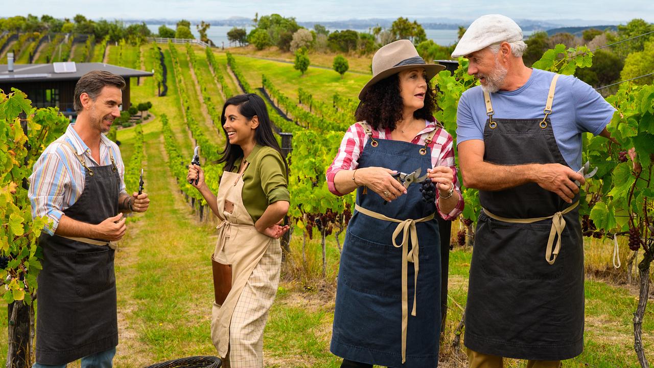 Florian Silbereisen, Collien Ulmen-Fernandes, Barbara Wussow und Daniel Morgenroth bei der Weinlese zwischen Weinstöcken