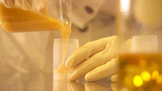 Einblick in die Herstellung von Bienenkosmetik