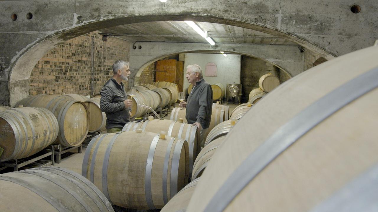 "Der große Weinskandal": Regisseur Dominic Egizzi im Gespräch mit Winzer Hans Feiler