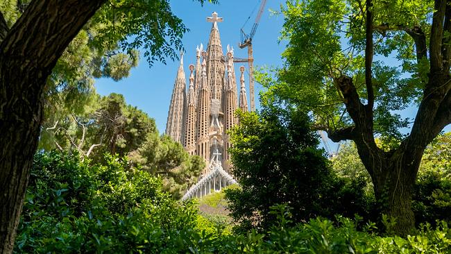 Das Bild zeigt die Sagrada Família in Barcelona, deren hohe Türme zwischen üppigem Grün emporragen.