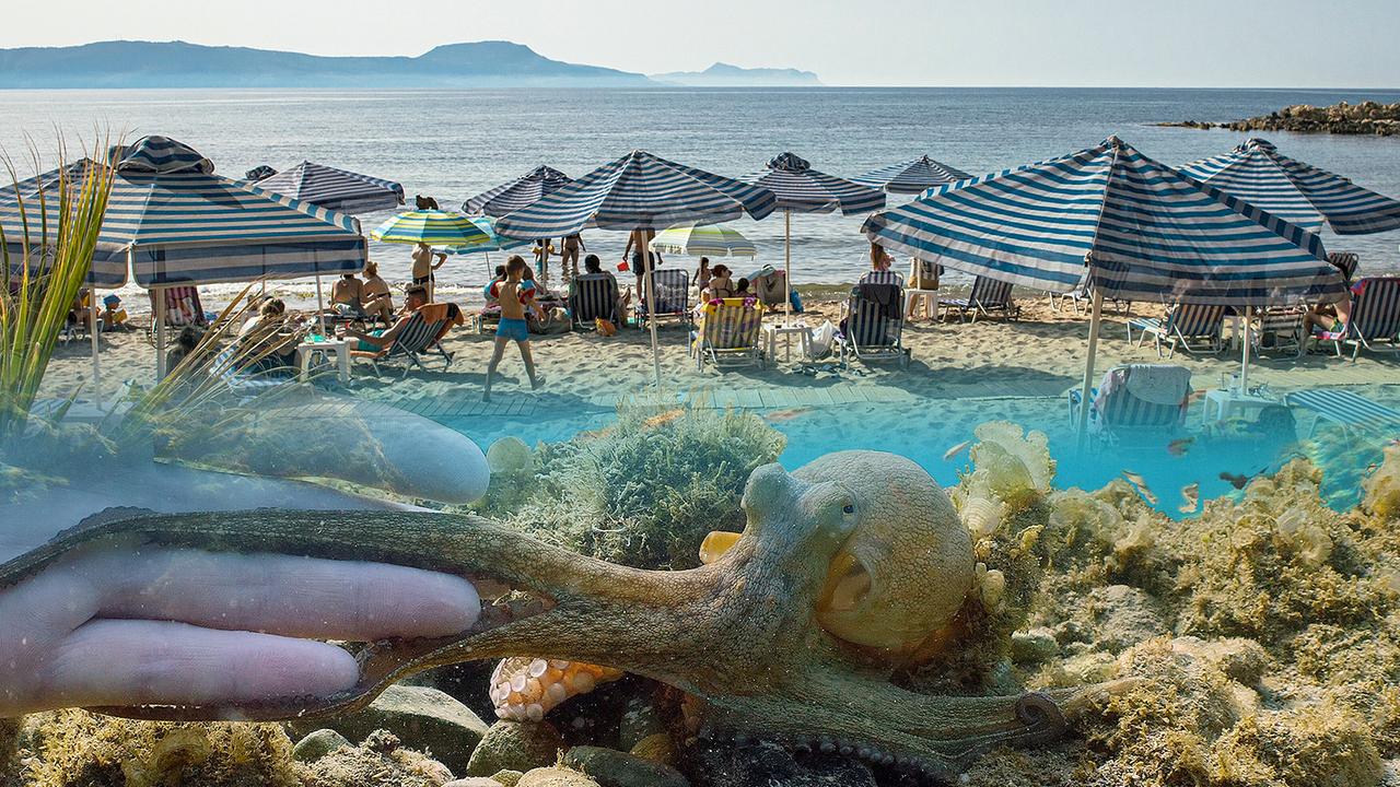 © ORF/Marco Polo Film AG/Klaus Scheurich/Claudia Schmitt/Hendrik Schmitt Der Strand. 7,5 Trillionen Sandkörner liegen auf den Stränden der Welt - mehr als wir Sterne im Universum sehen können. Jeder einzelne Strand ist ein Mikrokosmos für sich.