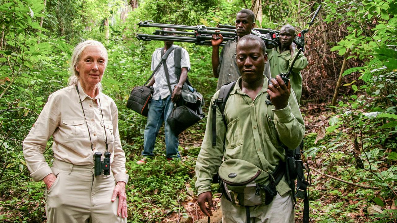 Die Lebensreise der Jane Goodall