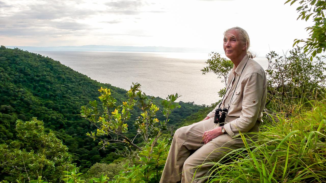 Die Lebensreise der Jane Goodall