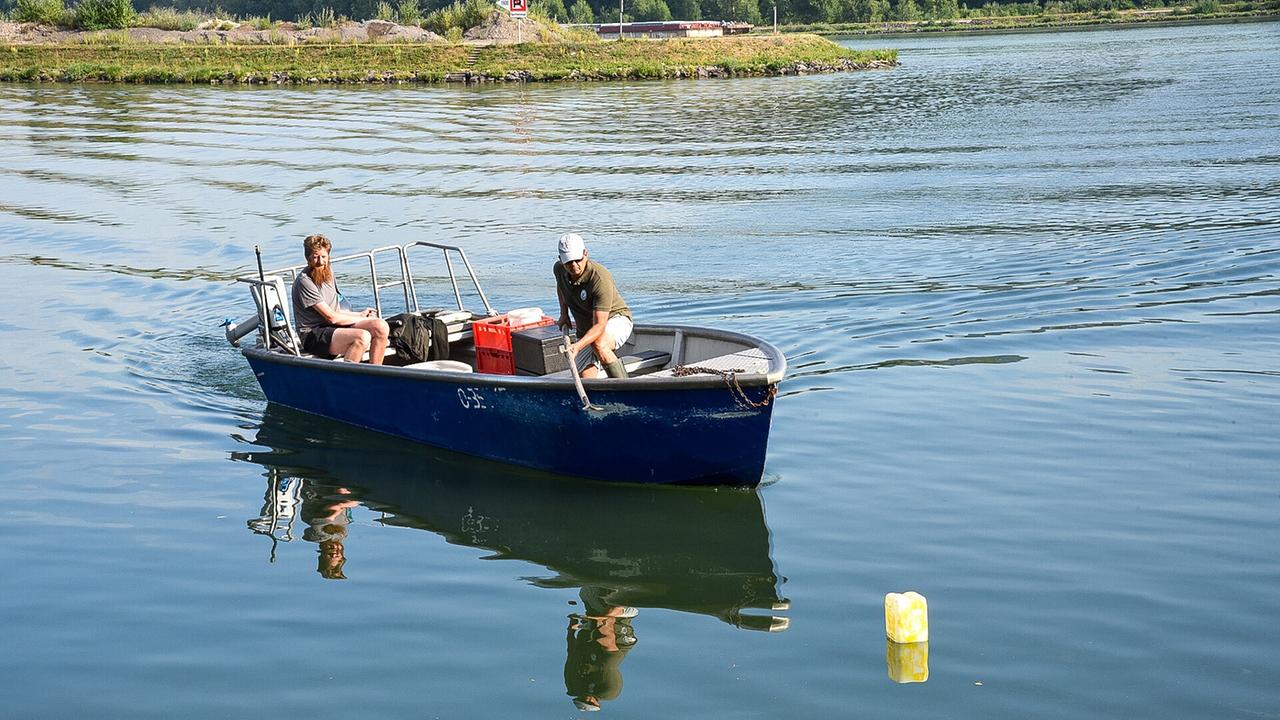 © ORF/Produktion West/Gerhard Mader Zwei Fischer sitzen in einem blauen Boot auf ruhigem Wasser am Zusammenfluss von Donau und Traun.