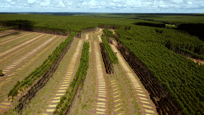 © ORF/ARTE France/SOLENT PRODUCTION 2025