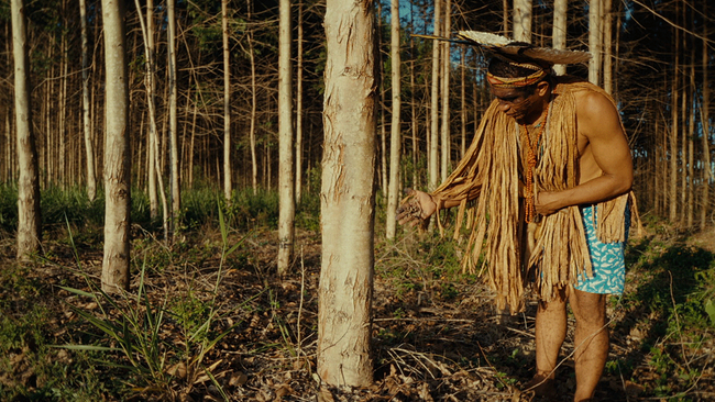 © ORF/ARTE France/SOLENT PRODUCTION 2025