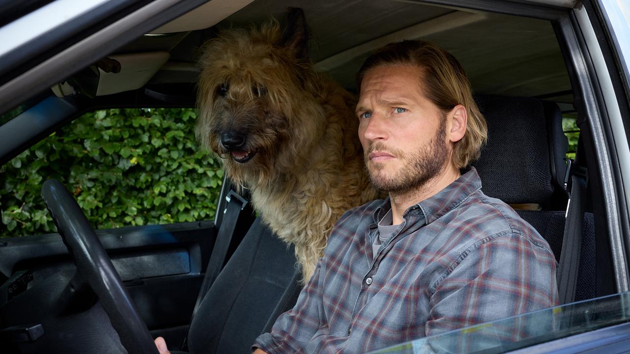 © ORF/RTL/Sandra Hoever Seeler und sein zugelaufener Hund beobachten vom Auto aus Beunruhigendes.