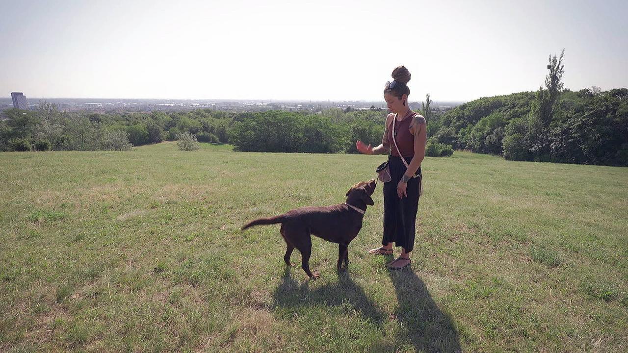 "Erklär mir wie du lebst: Gehörlose Menschen": Rachel Winter mit ihrem Hund Ayomi